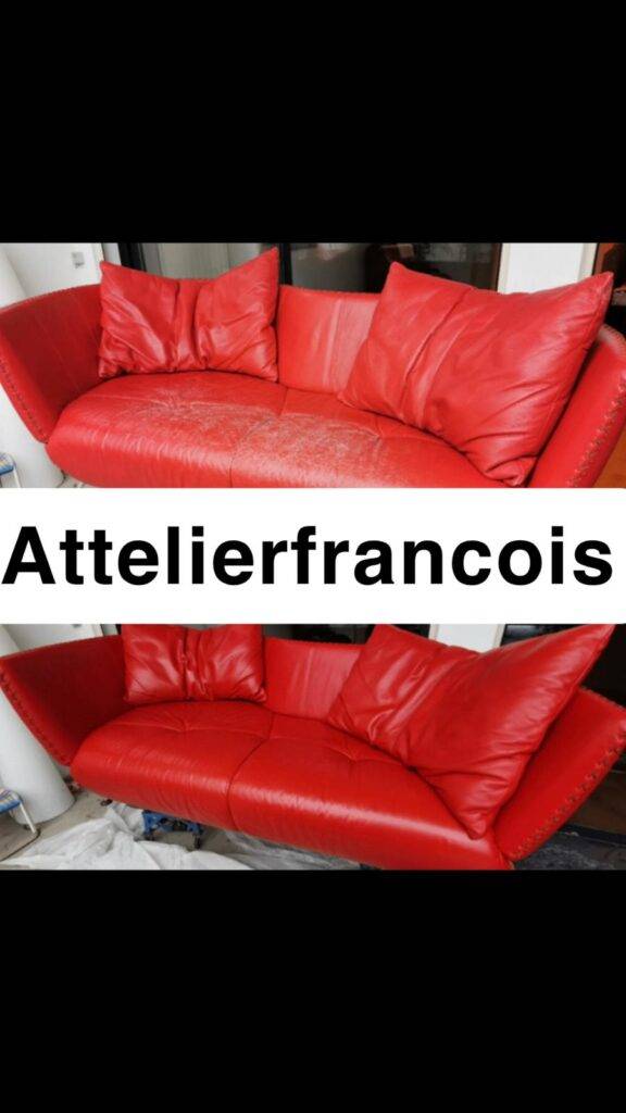 renovation canapé cuir- ichy